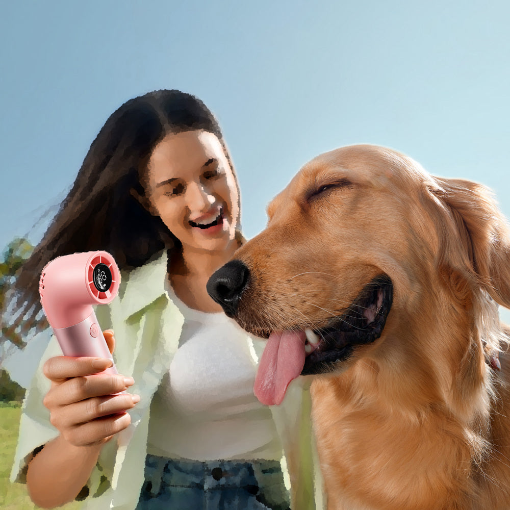 Aecooly PH01 Aero Pro Serisi Dijital LED Göstergeli Portatif Soğutucu El Fanı