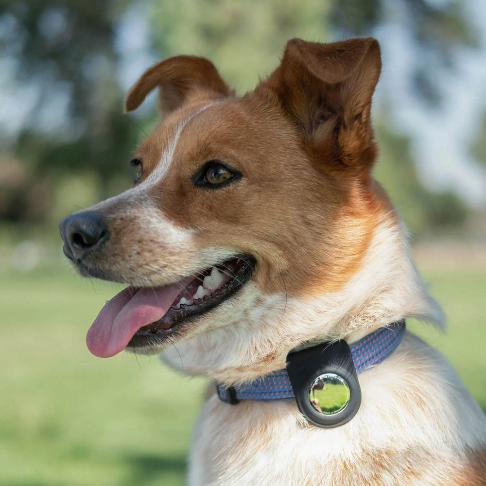 Airtag Raptic Anchor Serisi Klipsli Airtag Kılıfı