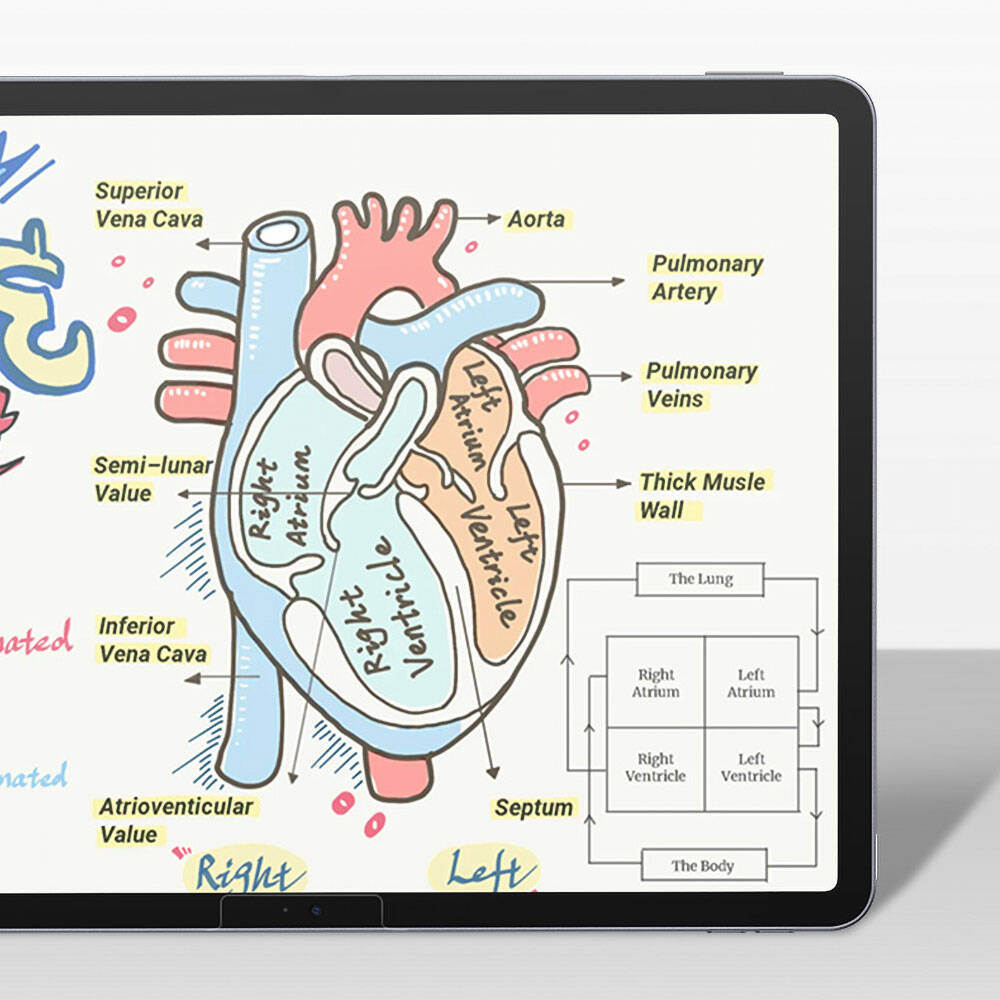 iPad Pro 13 2025 M5 Kağıt Hisli Benks Mat Paper-Like Ekran Koruyucu