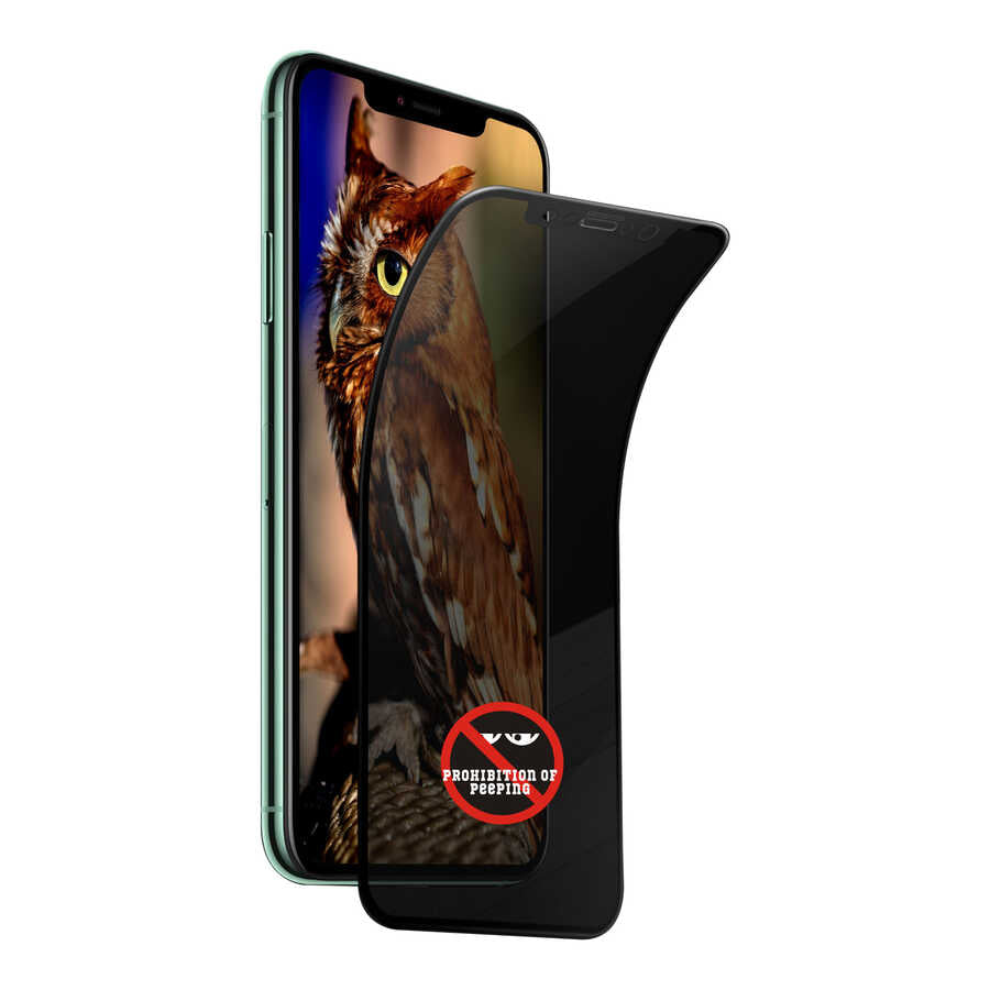 iPhone 12 Go Des Privacy Ekran Koruyucu