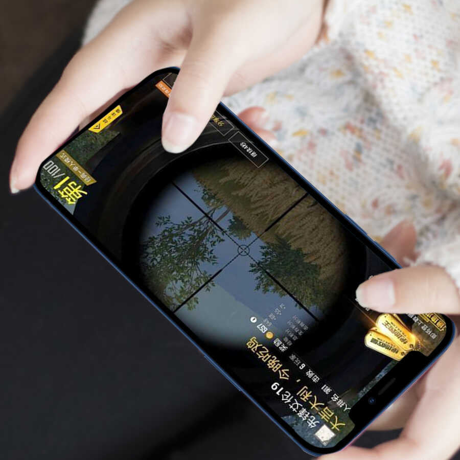 iPhone 12 Pro Wiwu iPrivacy HD Anti-Peep Ekran Koruyucu