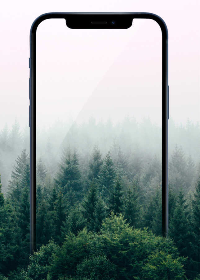 iPhone 13 Pro Wiwu iPrivacy HD Anti-Peep Ekran Koruyucu