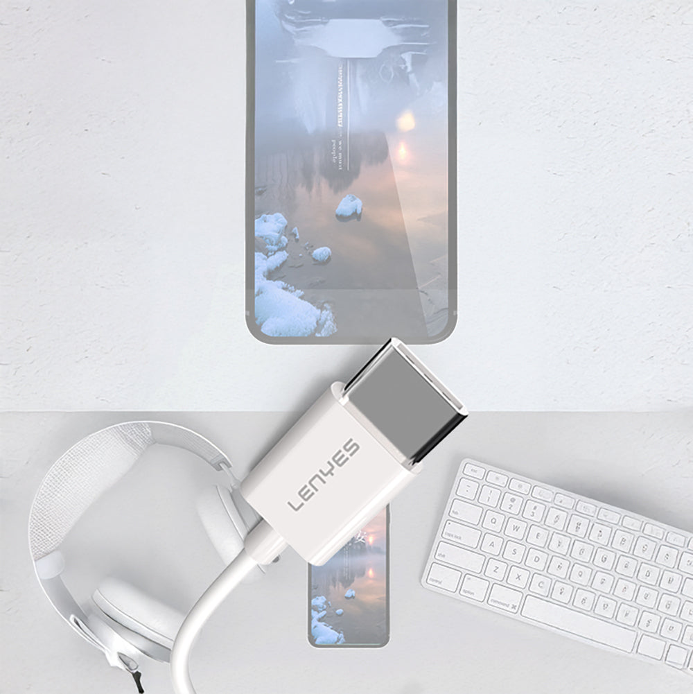 Lenyes AX91 Type-C to 3.5mm Hi-Fi Aux Çevirici Ses Adaptörü