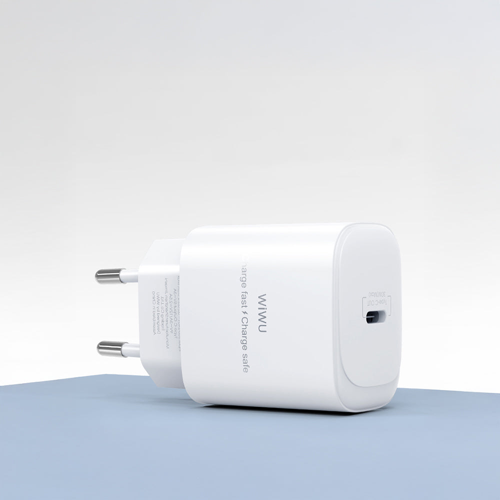 Wiwu Wi-G008 Essen Serisi GaN Tech PD Hızlı Şarj Başlığı Type-C to Type-C PD 30W Kablolu Şarj Seti