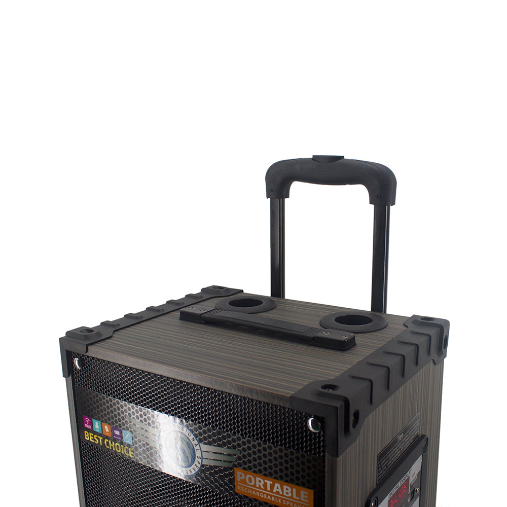 Zore LT-912 Dijital LED Göstergeli FM Radyolu Mikrofonlu Gitar Girişli TWS 12 inç Stereo Bass Kablosuz Karaoke Hoparlör