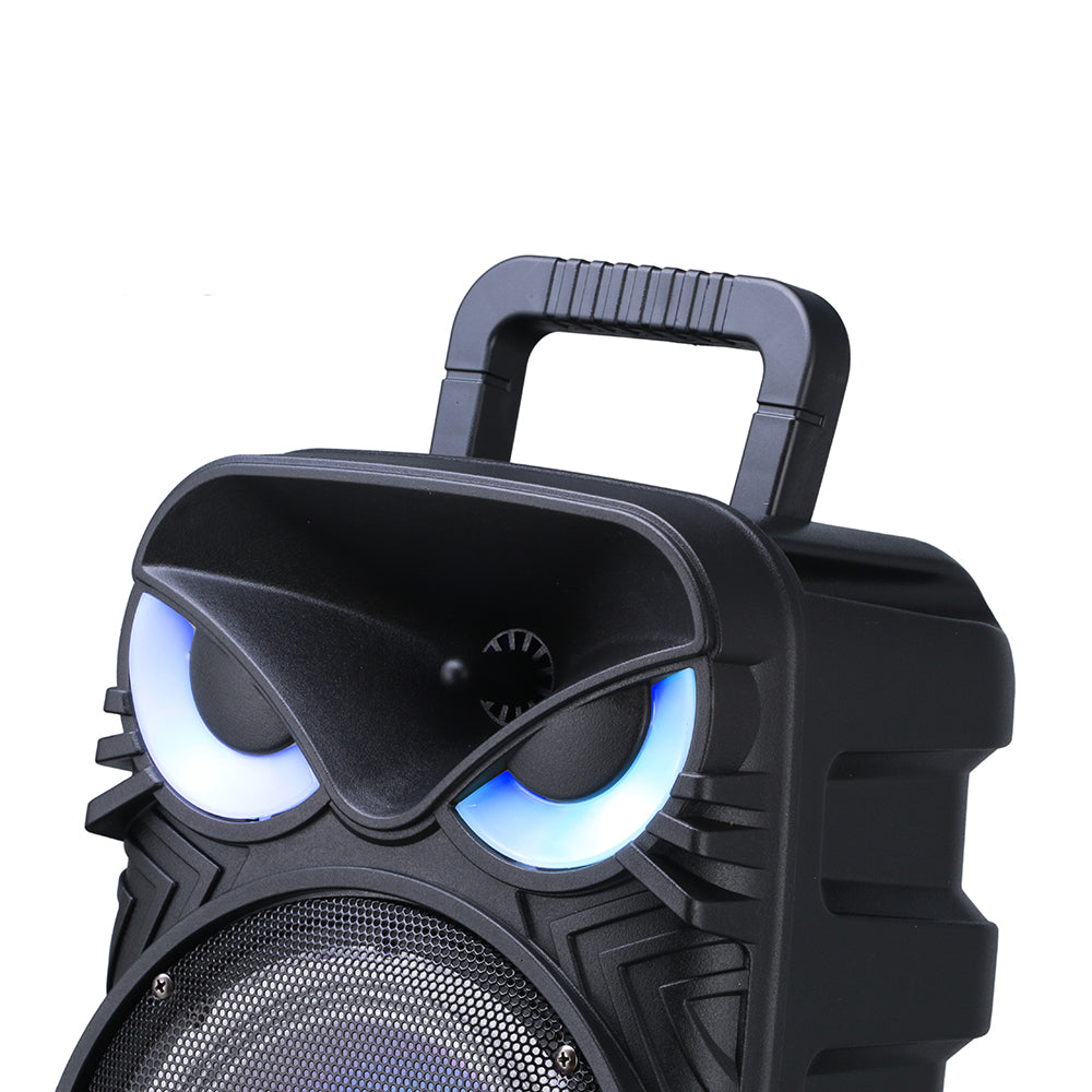 Zore PK-17 FM Radyolu Mikrofonlu RGB TWS 8 inç Stereo Bass Kablosuz Karaoke Hoparlör