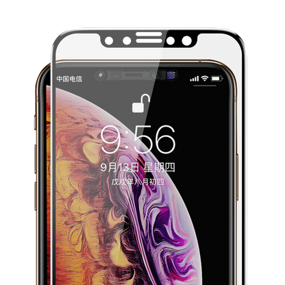 iPhone XS 5.8 Benks 0.3mm V Pro Privacy Ekran Koruyucu