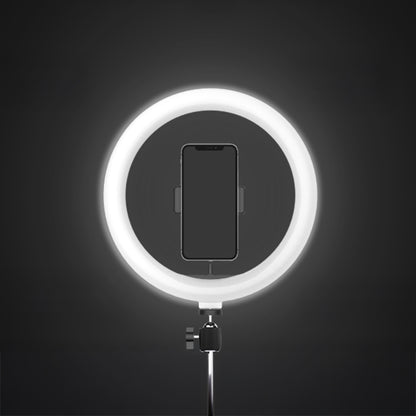 Jmary FM-536A Bluetooth Kumandalı Tripod Telefon Tutucu Ring Light