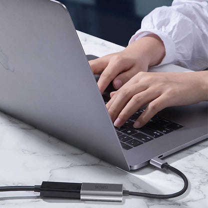 Wiwu Alpha Type-C to VGA Adaptörü