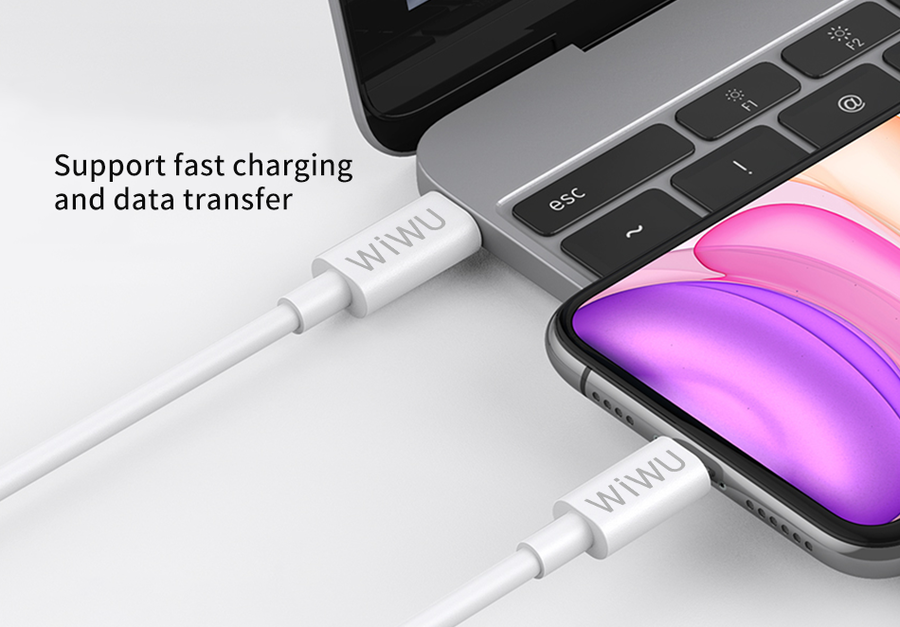 Wiwu The One PD To Lightning Usb Kablo 2M