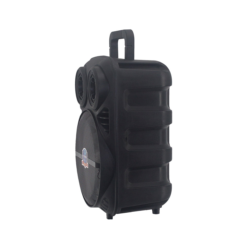 Zore PK-15 FM Radyolu Mikrofonlu RGB TWS 8 inç Stereo Bass Kablosuz Karaoke Hoparlör