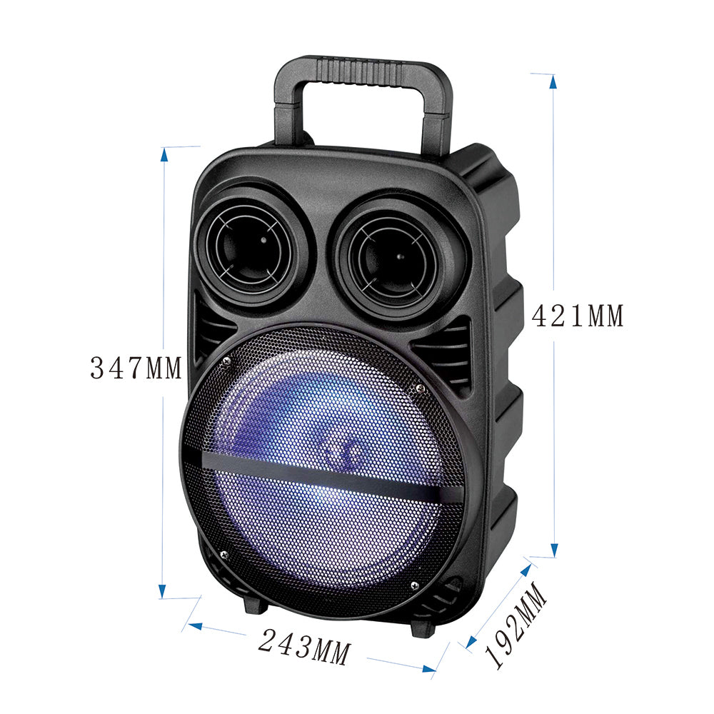 Zore PK-15 FM Radyolu Mikrofonlu RGB TWS 8 inç Stereo Bass Kablosuz Karaoke Hoparlör