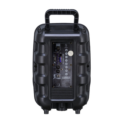 Zore PK-17 FM Radyolu Mikrofonlu RGB TWS 8 inç Stereo Bass Kablosuz Karaoke Hoparlör